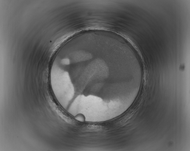 X0000115560437200911271500