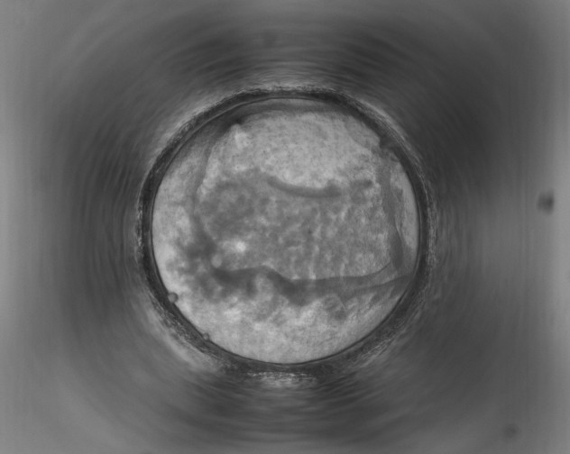 X0000115560439200911271500