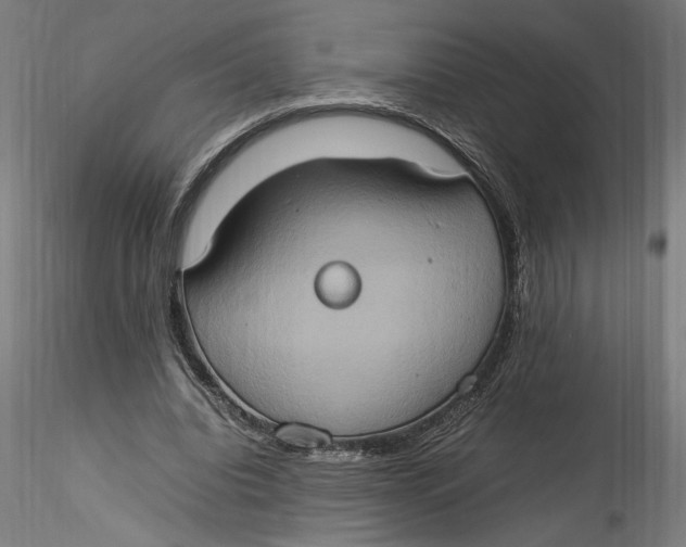 X0000115560440200911271500