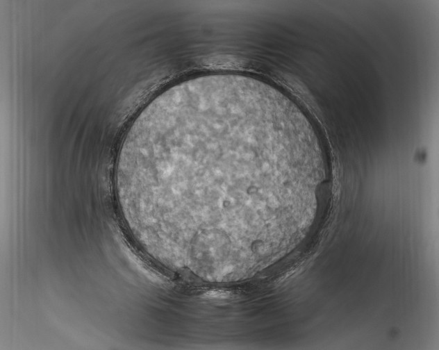 X0000115560441200911271500