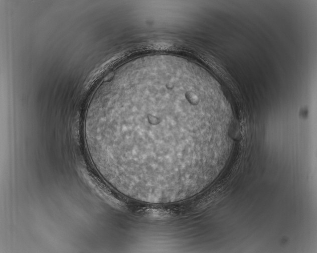 X0000115560442200911271500