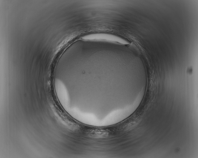 X0000115560443200911271500