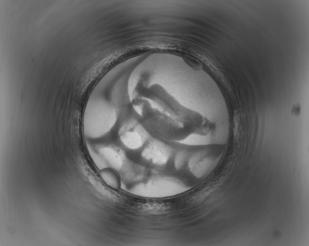 X0000115560445200911271500