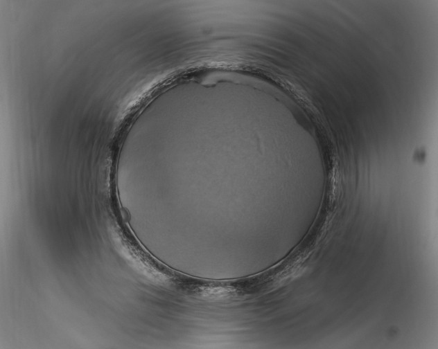 X0000115560446200911271500