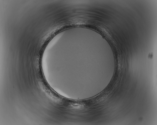 X0000115560447200911271500