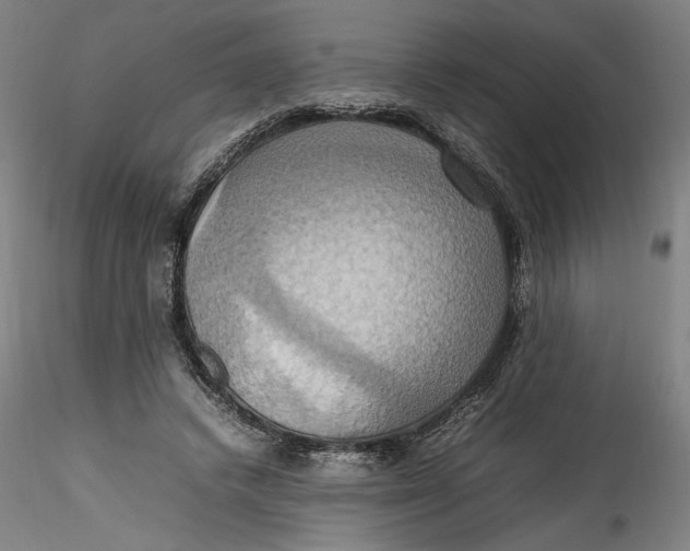 X0000115560448200911271500