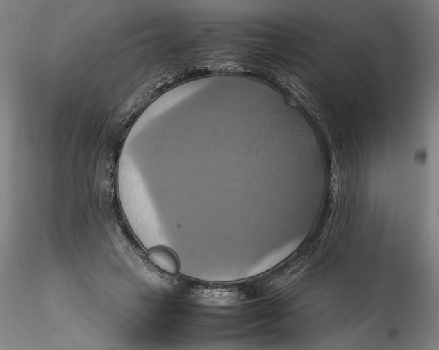 X0000115560449200911271500