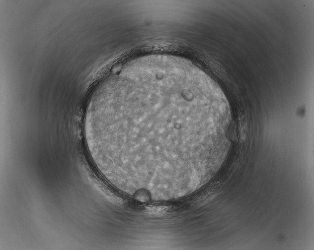 X0000115560450200911271501