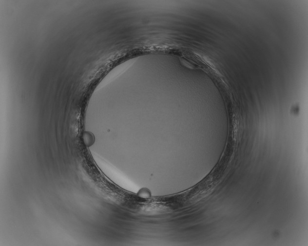 X0000115560451200911271501