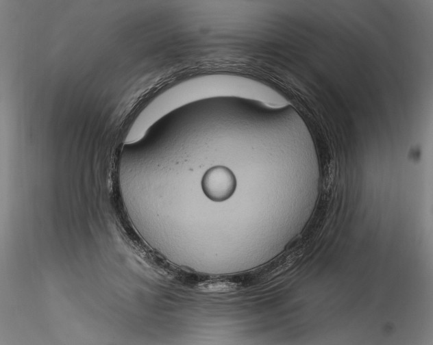 X0000115560452200911271501