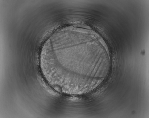 X0000115560453200911271501