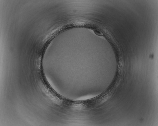 X0000115560454200911271501