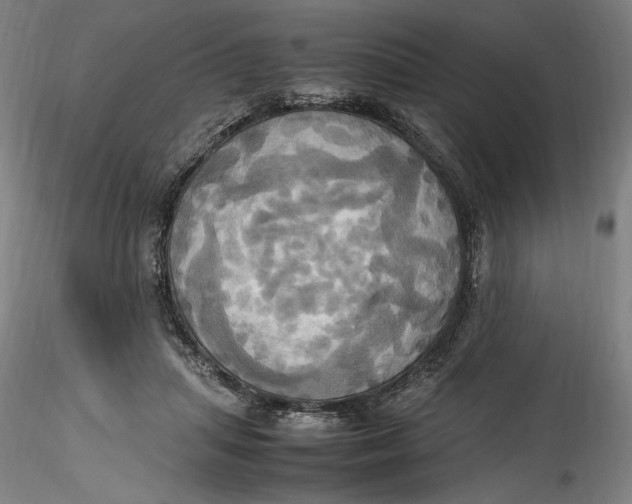 X0000115560455200911271501