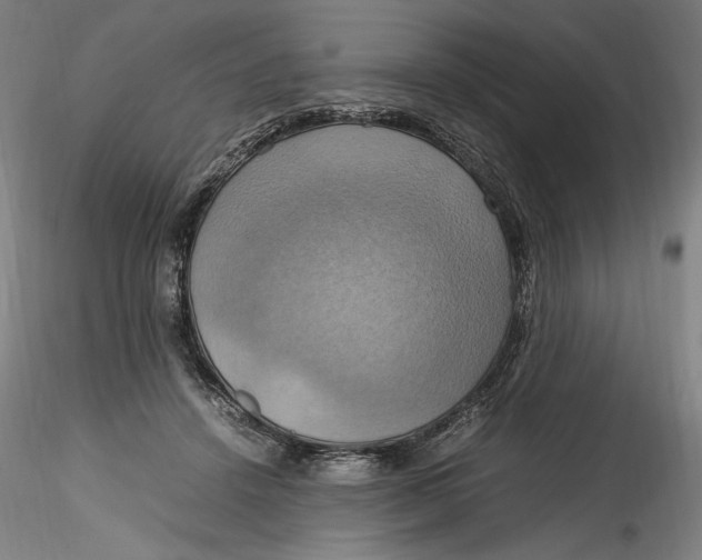 X0000115560456200911271501