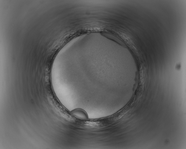 X0000115560457200911271501