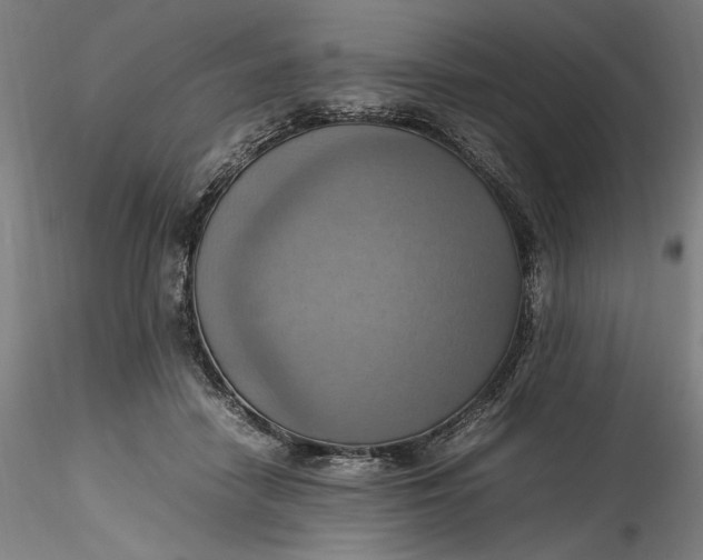 X0000115560458200911271501