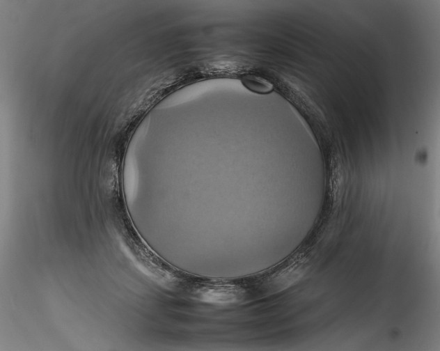 X0000115560459200911271501