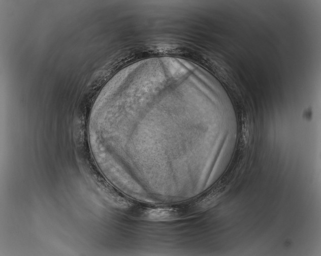 X0000115560461200911271501