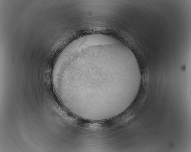 X0000115560462200911271501