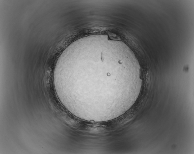 X0000115560463200911271501