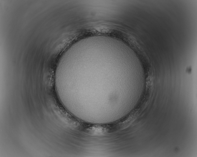 X0000115560464200911271501