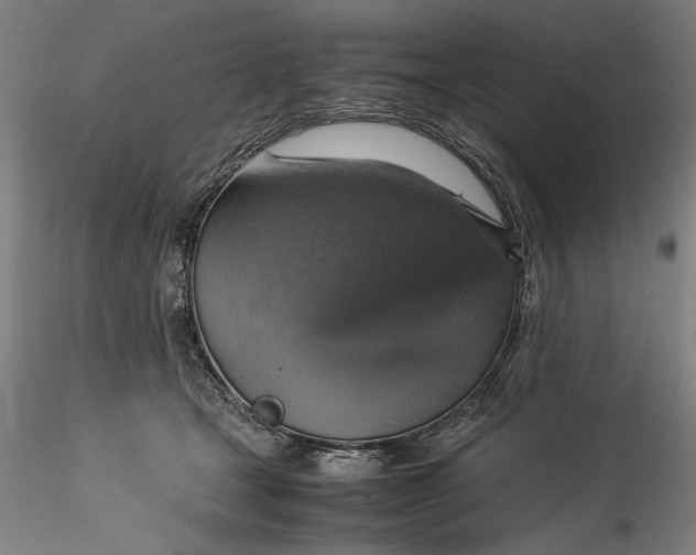 X0000115560465200911271501