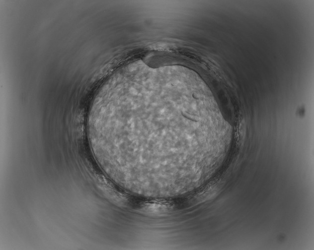 X0000115560466200911271501