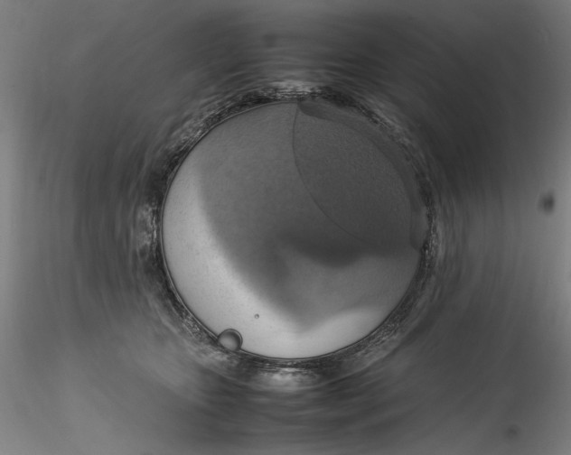 X0000115560467200911271501