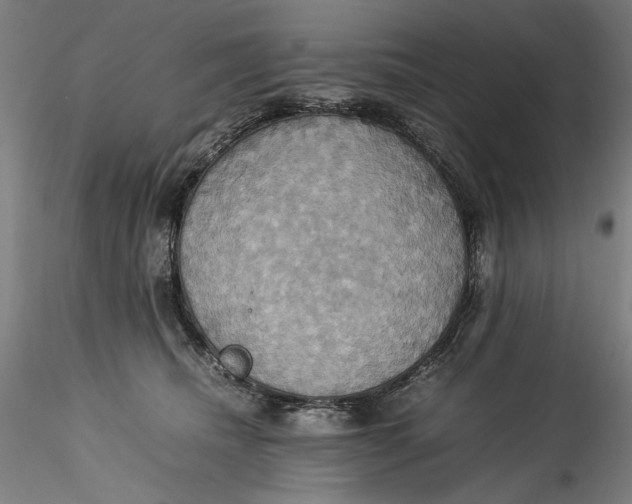 X0000115560468200911271501