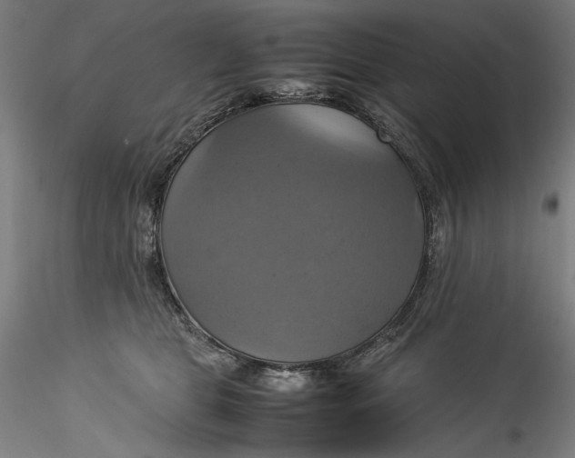 X0000115560469200911271501