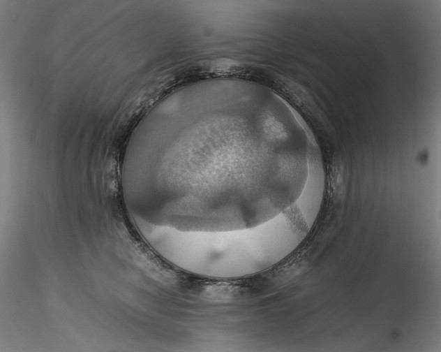 X0000115560470200911271501