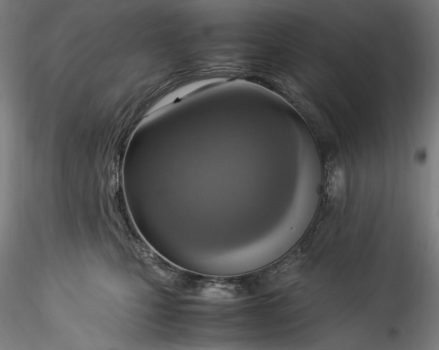 X0000115560471200911271501