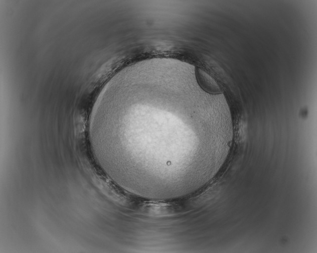 X0000115560472200911271501