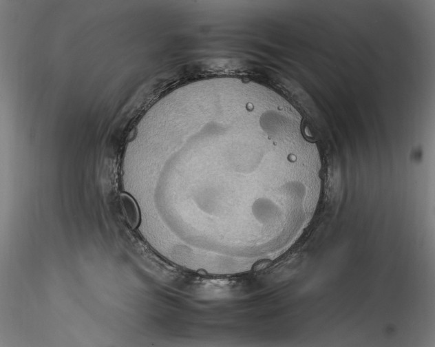 X0000115560473200911271501