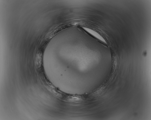 X0000115560475200911271501