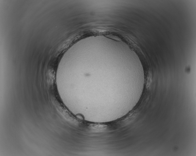 X0000115560476200911271501