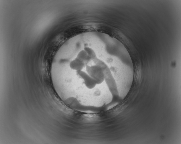 X0000115560477200911271501