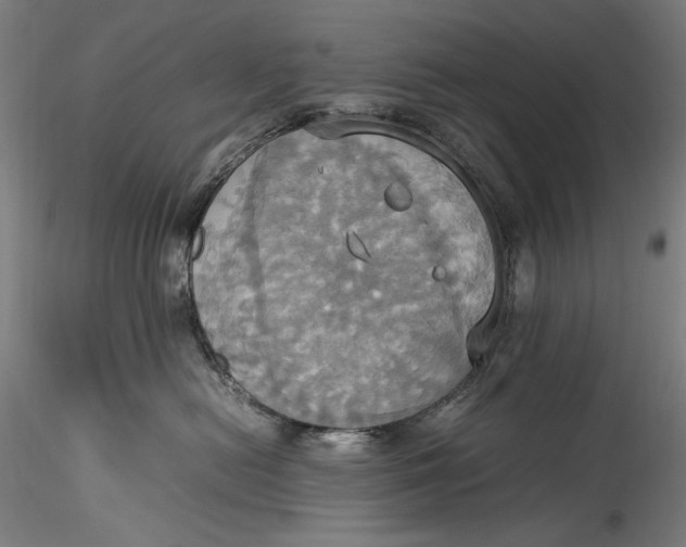 X0000115560478200911271501