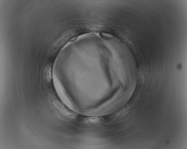 X0000115560479200911271501