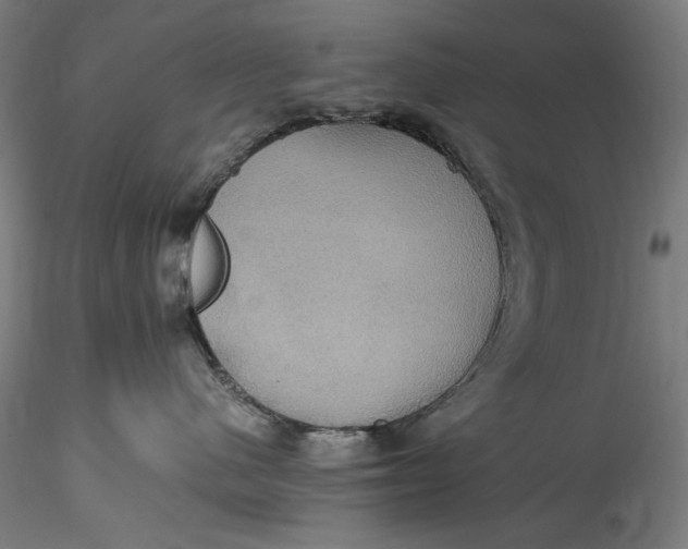 X0000115560480200911271501