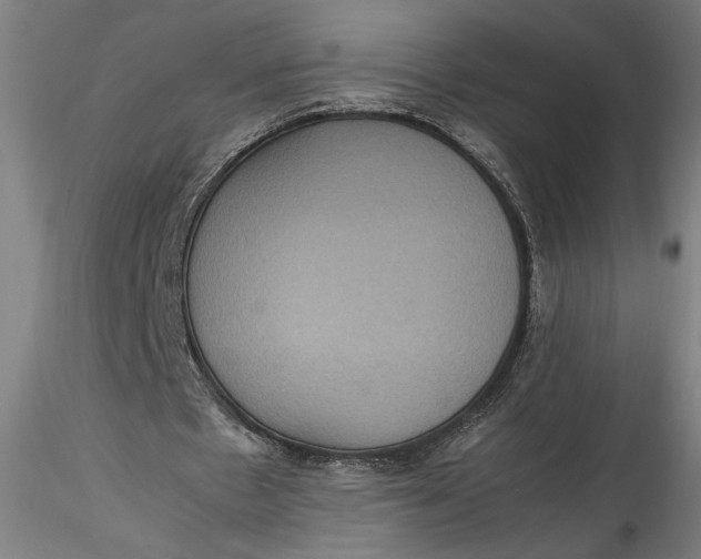 X0000115560481200911271500