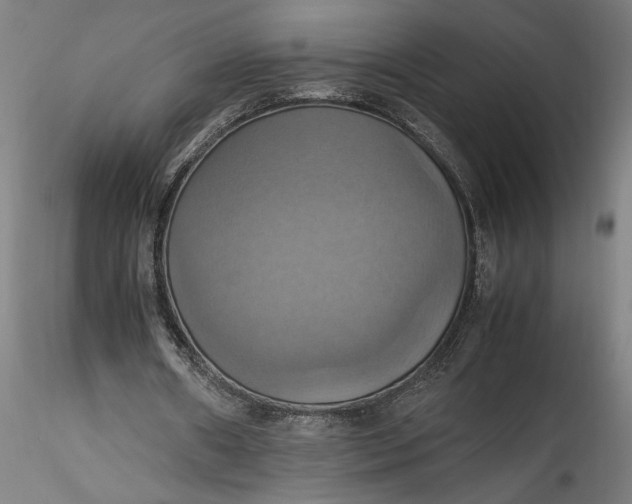 X0000115560482200911271500