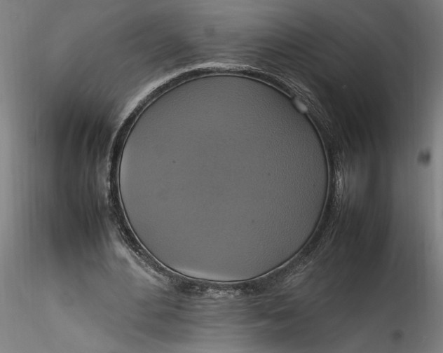 X0000115560484200911271500