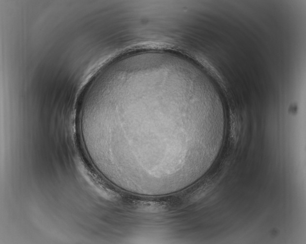 X0000115560486200911271500