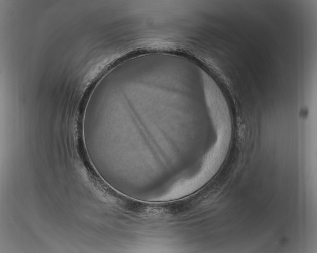 X0000115560487200911271500