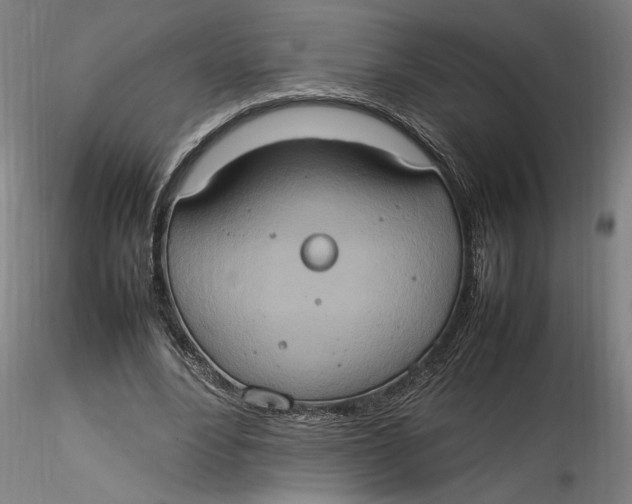 X0000115560488200911271500