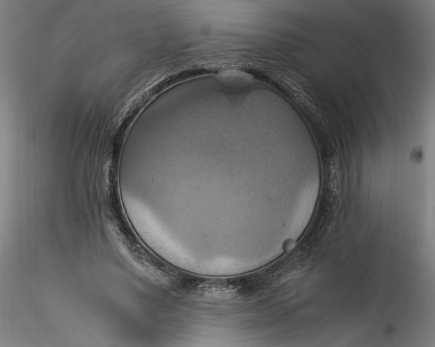 X0000115560491200911271500