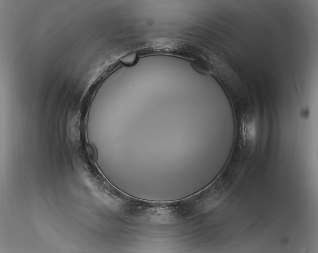 X0000115560492200911271500