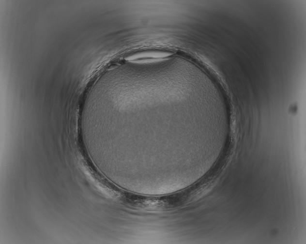 X0000115560493200911271500