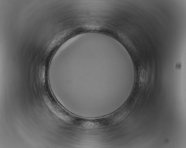 X0000115560494200911271500